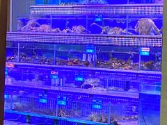 -青蓬蒸汽海鲜·深圳老字号·团建聚会(壹方城店)