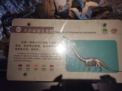 -自贡恐龙博物馆