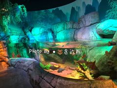 -沈阳海洋探索中心