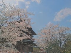 -西安青龙寺遗址景区