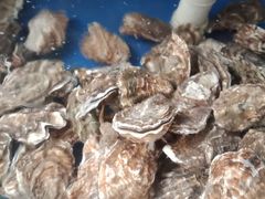 -雅逸居海鲜小厨