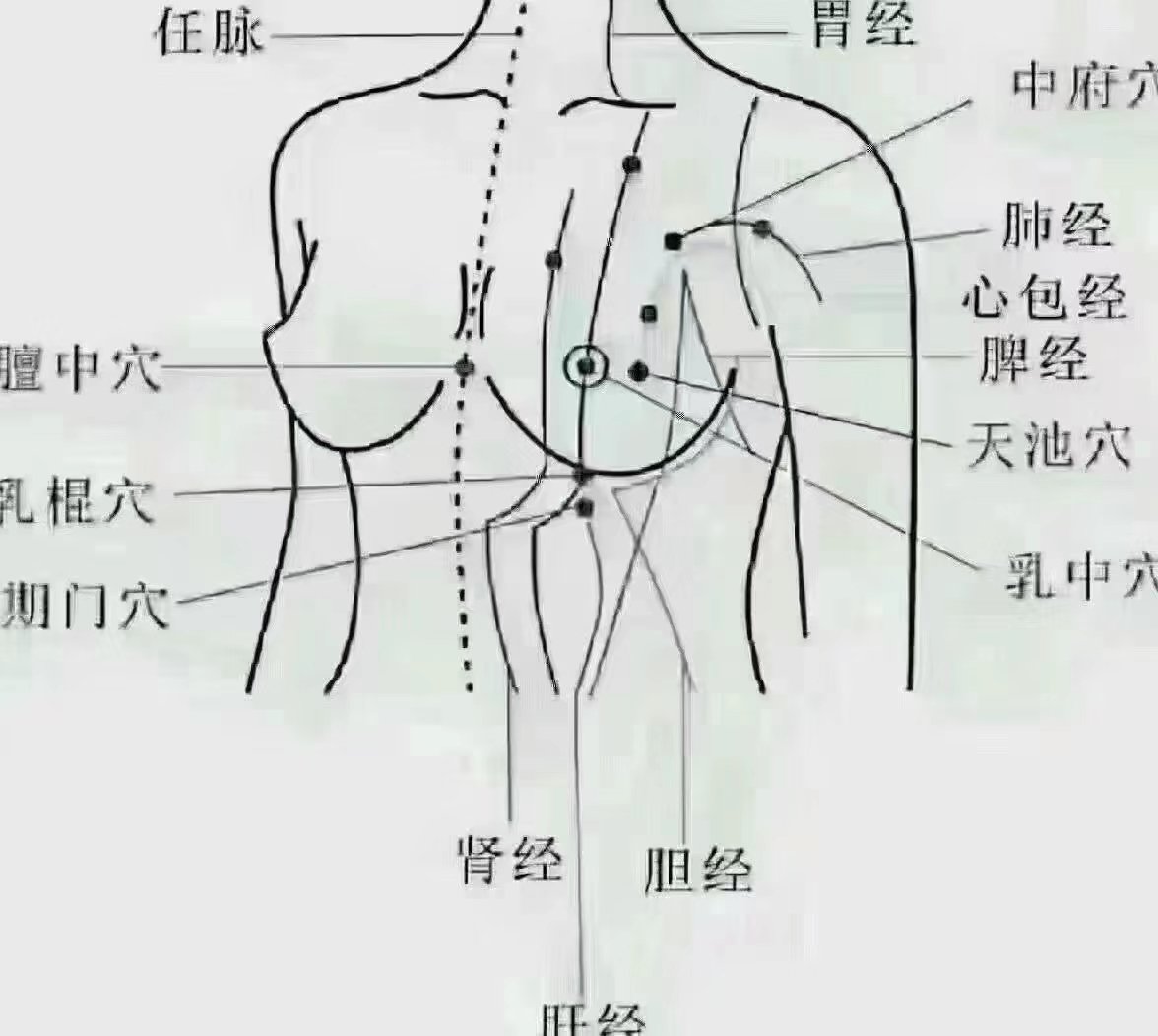 关于女性经络穴位图的信息 关于女性经络穴位图的信息（女性经络图讲解） 女性