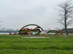 -海珠湖公园
