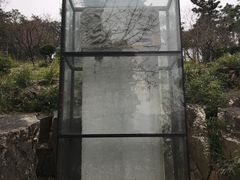-香雪海