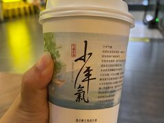 -茶颜悦色(金茂览秀城LG层外街店)