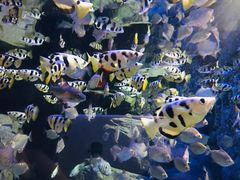 -成都浩海立方海洋公园