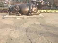 -梁鸿国家湿地公园