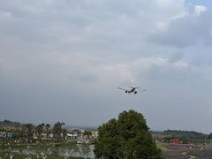 -空港花田景区