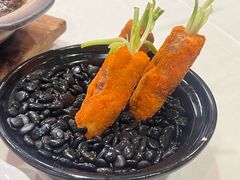 -丁老爷子苏香圆