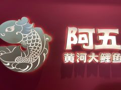 -阿五黄河大鲤鱼(纬三路店)