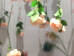 -星空失恋博物馆(北京路旗舰店)