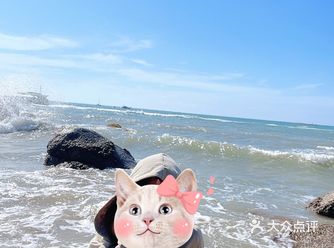 你也会爱的人去天涯海角吗