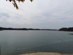 -仙海旅游度假区