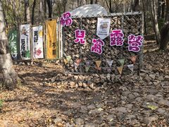 -帽儿山风景区