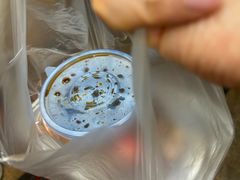 -甜蜜蜜港式茶餐厅(虹梅店)