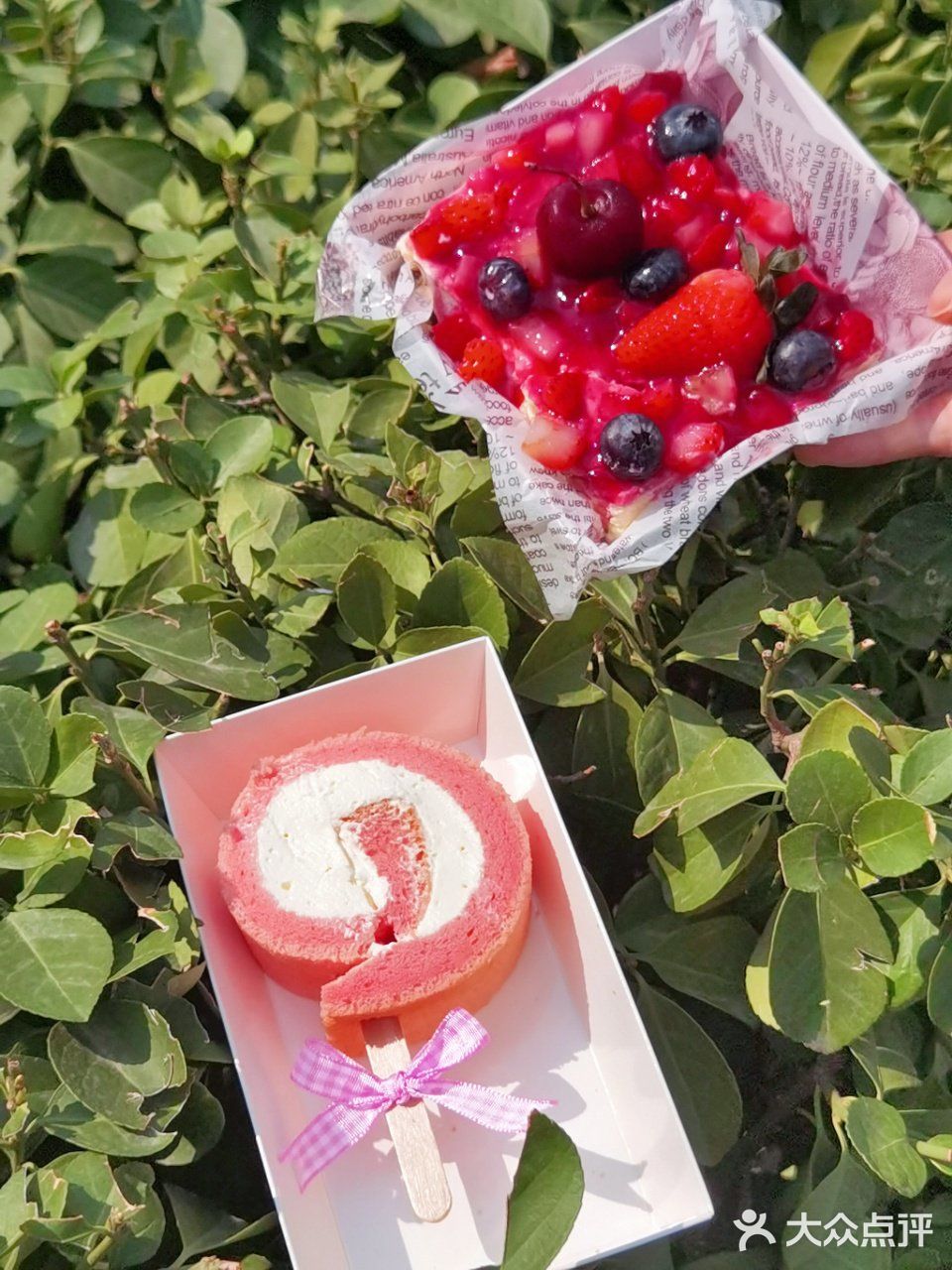 合生汇里的宝藏甜品店，提拉米苏绝了！