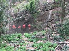 -镇江市南山风景名胜区竹林景区