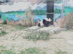 -苏州太湖国家湿地公园