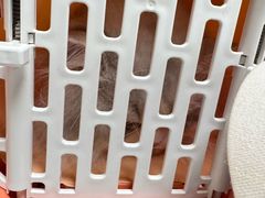 -伟伟宠物医院·CT影像中心·瑞派犬猫综合性门诊(汉口总院)