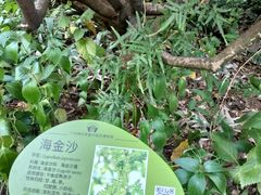 -广州神农草堂中医药博物馆