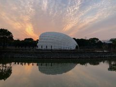 -上海吴淞炮台湾国家湿地公园