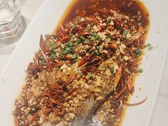 -杨氏青龙虾·羊蝎子(金盛路总店)