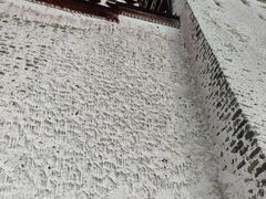 -布达拉宫