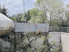 -青藏高原野生动物园