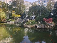 -苏苑饭店-中餐厅(长桥地区店)