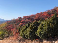 -北京西山国家森林公园