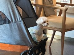 -上海佘山世茂艾美酒店