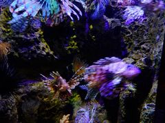 -太平洋海底世界