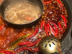 -蜀大侠火锅(建设路第五大道店)