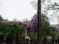 -郑和公园