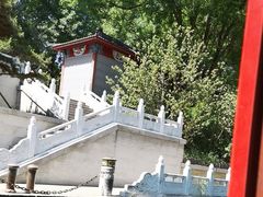 -皇家御河游(紫御湾码头)