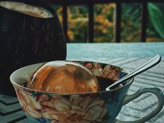 -万兴启丰椰子文化园餐厅