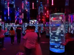 -成都浩海立方海洋公园