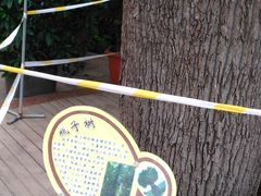 -石家庄市植物园