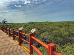 -北海金海湾红树林生态旅游区