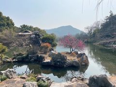 -西湖游船