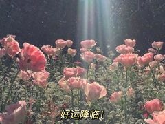 -厨掌柜陆老师(天津之眼店)