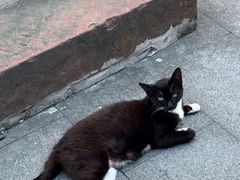 -潜口民宅博物馆