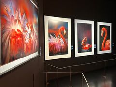 -罗红摄影艺术馆