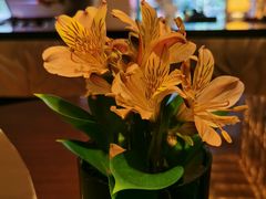 -The Lounge·大堂酒廊·北京粤财JW万豪酒店