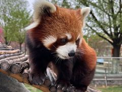 -水上乐园·欢乐世界