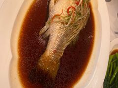 -眉州东坡(团结湖店)