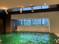 -斯博特游泳俱乐部(建业艾美酒店店)