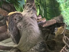 -杭州野生动物世界
