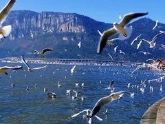 -滇池海埂公园
