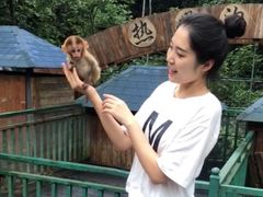 -西双版纳原始森林公园